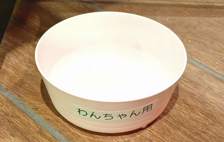 ワンちゃんへお水のサービス