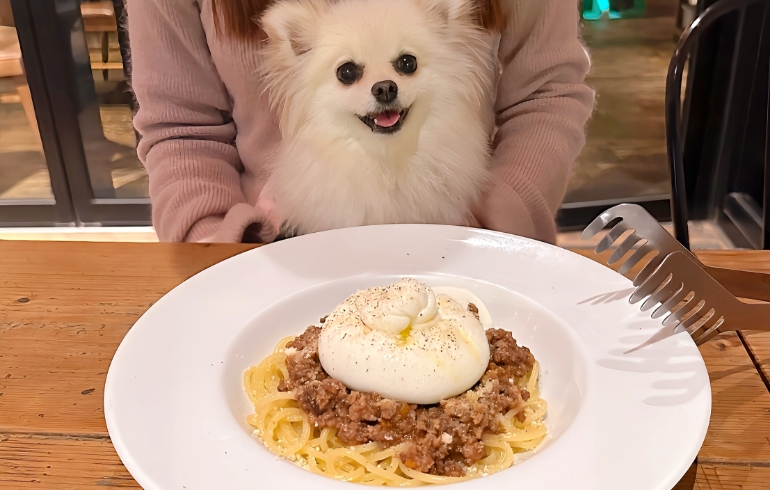 王様のボロネーゼとゆめちゃん