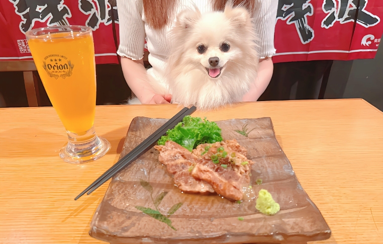 軟骨ソーキ炙り焼とゆめちゃん