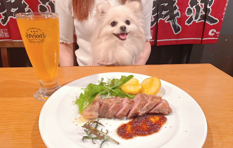 あぐー豚の肩ロースステーキ