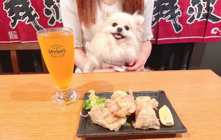 鶏の唐揚げ