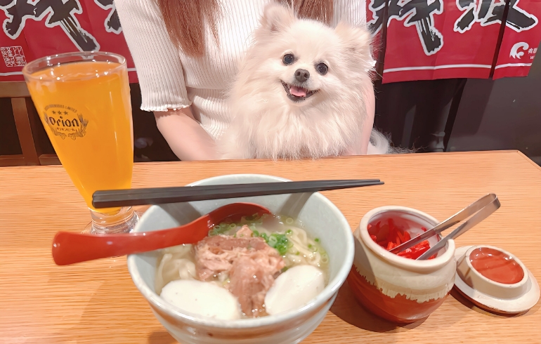 沖縄そばとゆめちゃん
