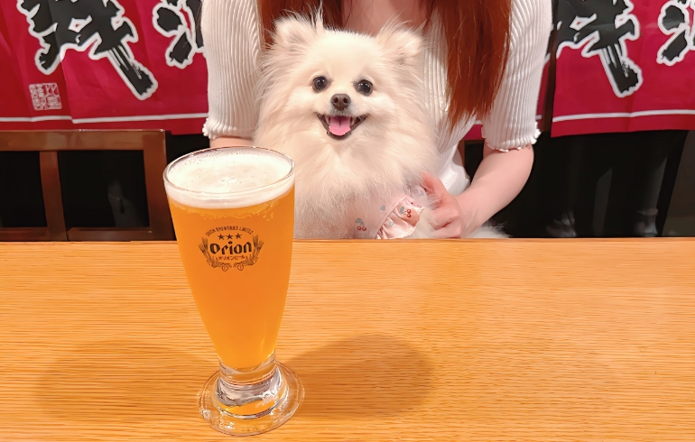 ビールとゆめちゃん