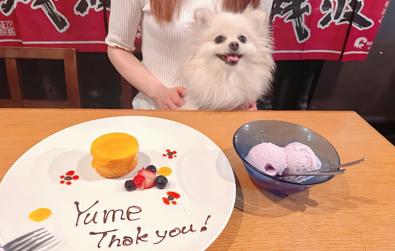 デザートプレートとゆめちゃん