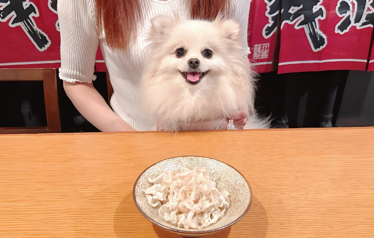 茹でみみがー（ワンちゃん用）