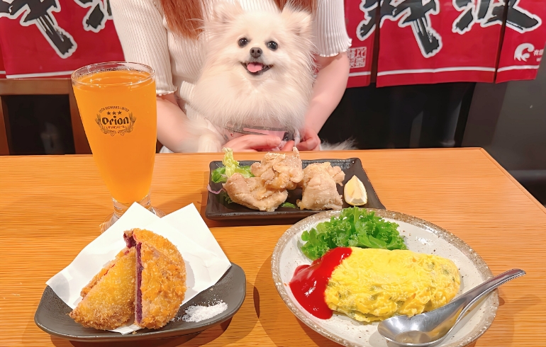 沖縄料理3種とゆめちゃん