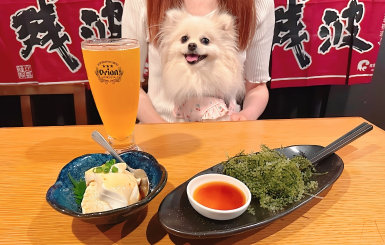 沖縄料理2種とゆめちゃん（海ぶどうなど）