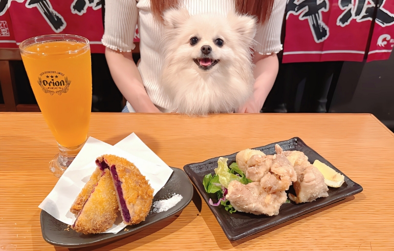 沖縄料理2種とゆめちゃん