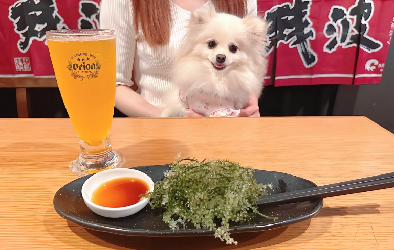海ぶどう