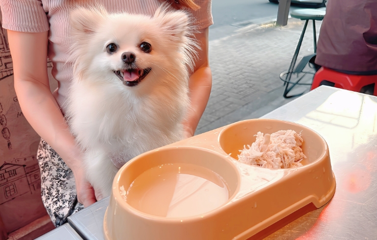 ワンちゃん用のご飯とお水セット