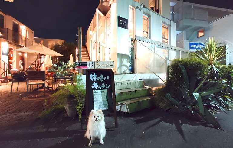 外観