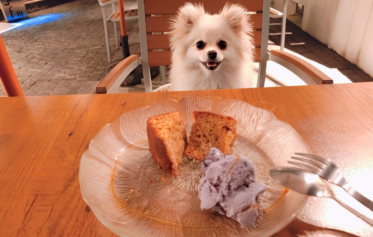 ケーキとアイス