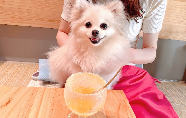 ドリンク