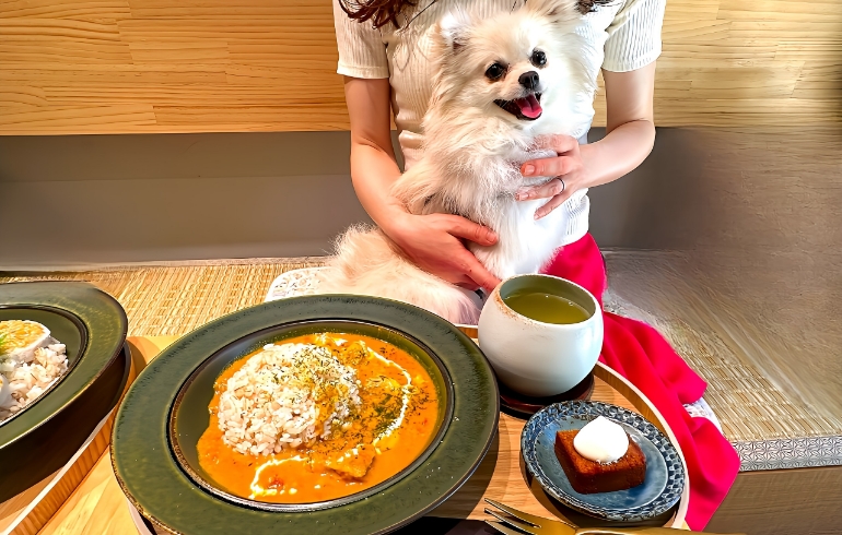 チキンカレー