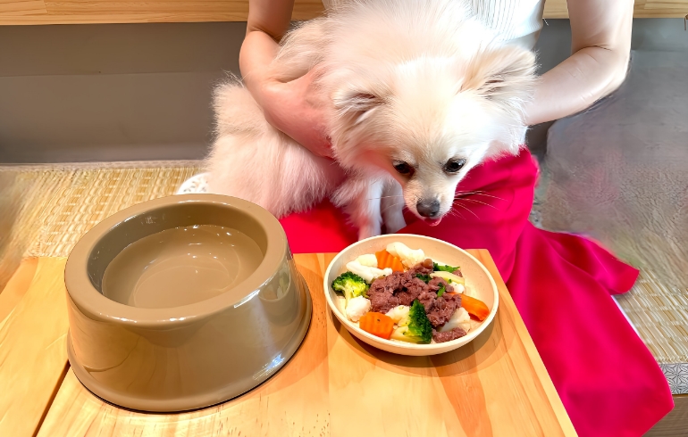 犬用ご飯