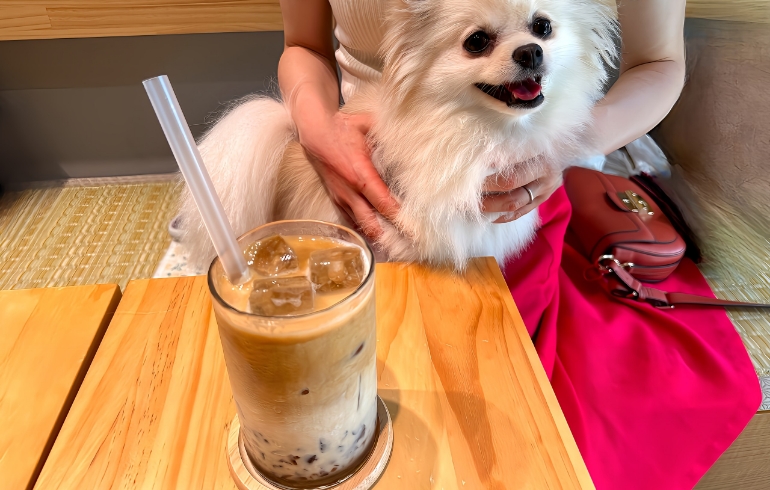 コーヒー