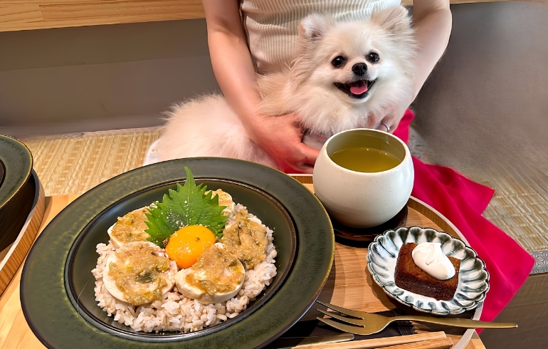 「HANAKADO（ハナカド）」のメイン画像です。