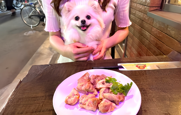 わんちゃん用のご飯
