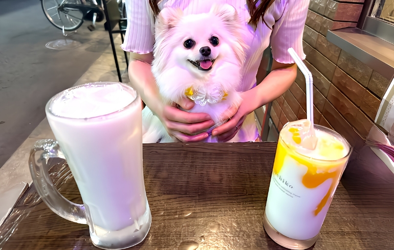 ラッシー