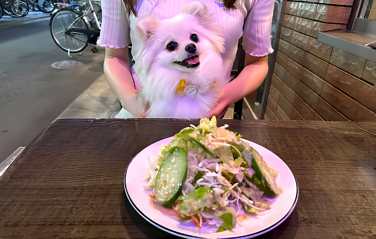 入口