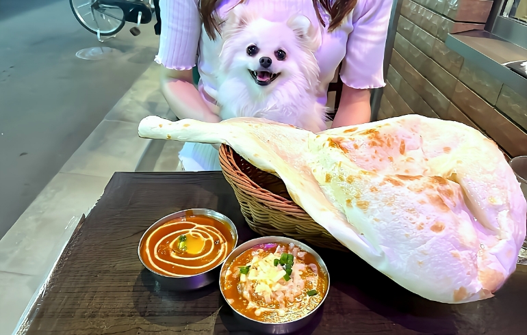メインの2種のカレー