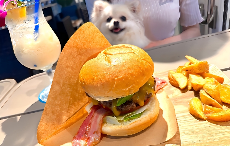 Olu Oluハンバーガー2