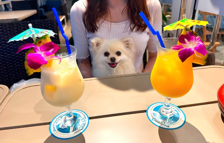 ドリンク