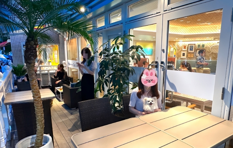 テラス席1