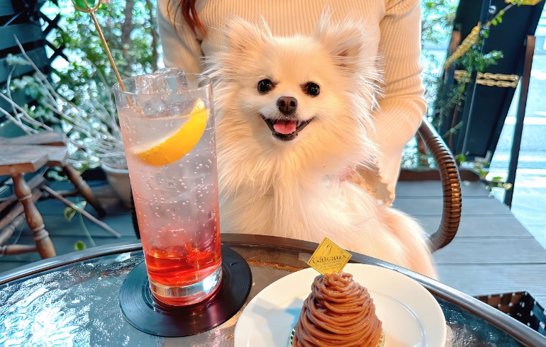 画像 1