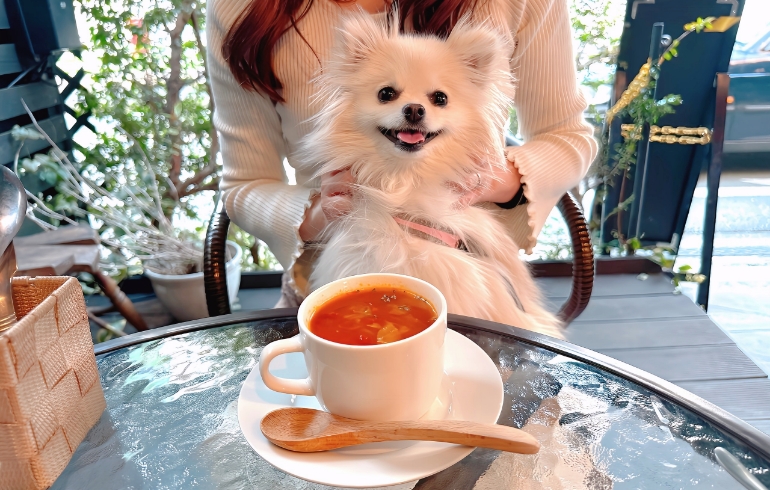ミネストローネとゆめちゃん