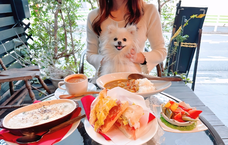 料理５種とゆめちゃん