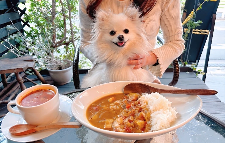 カレー