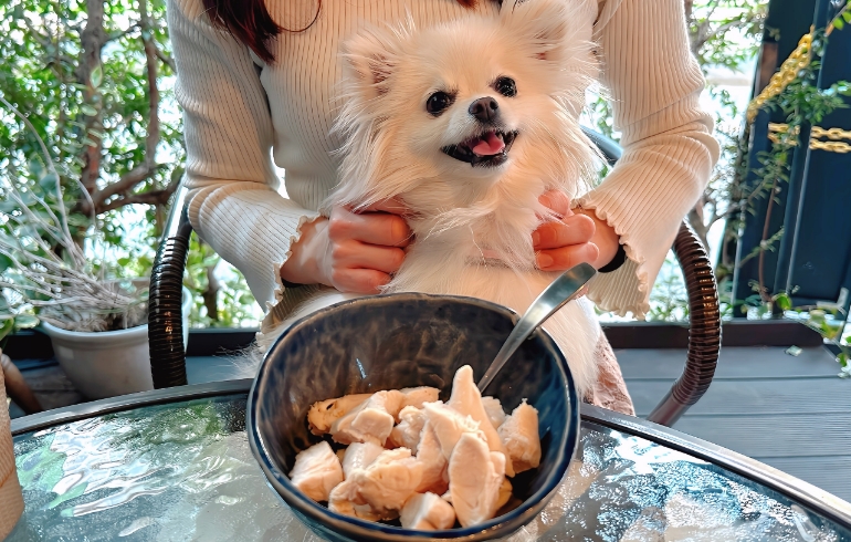ボイルの鶏ササミ