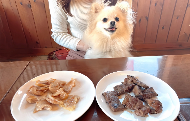 ワンちゃん料理1