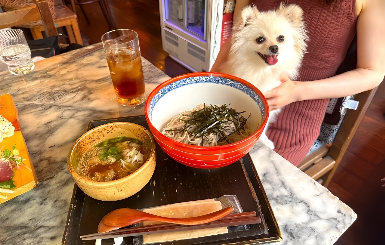 画像 1