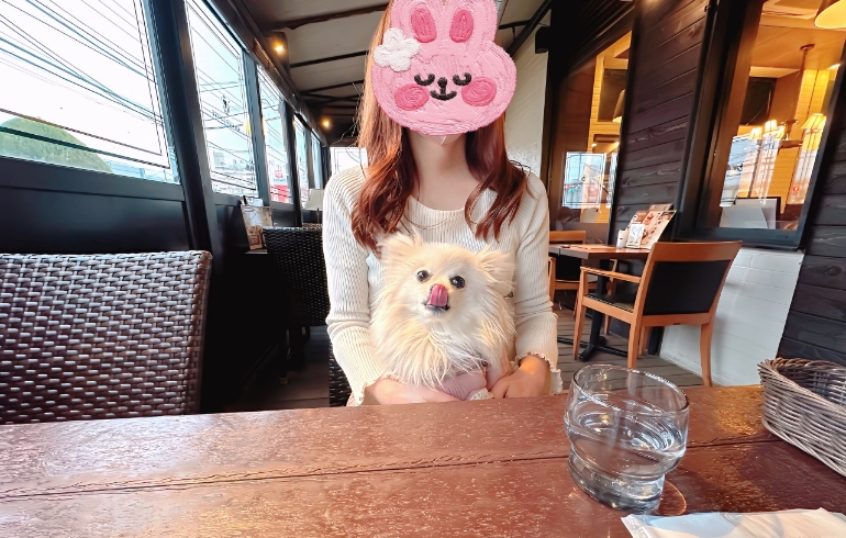 テラス席11