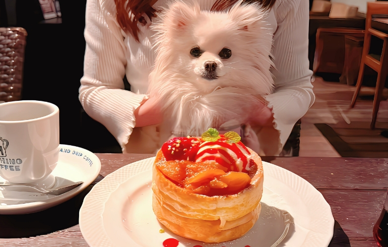 窯焼きスフレパンケーキとゆめちゃん