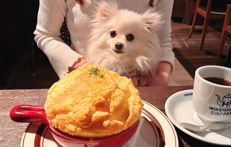 窯焼きふわふわスフレドリアとゆめちゃん