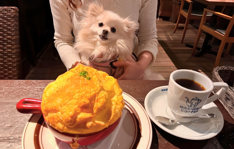 窯焼きふわふわスフレドリアとゆめちゃんとコーヒー