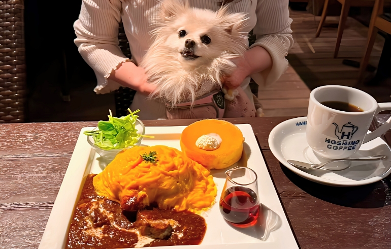 ビーフシチューオムライス＆パンケーキプレートとゆめちゃん