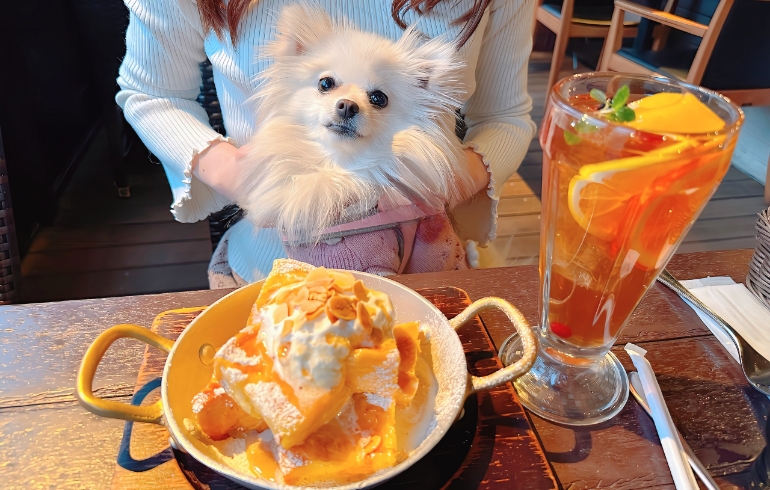 フレンチトーストとゆめちゃん