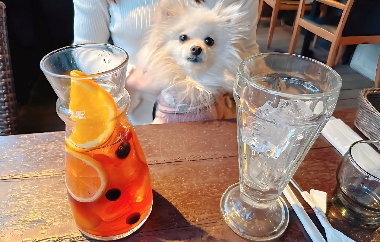フルーツティーとゆめちゃん