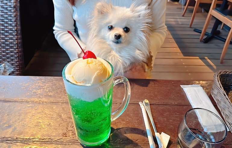 ジャンボクリームソーダ