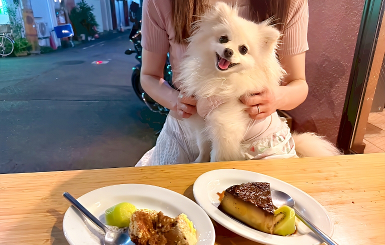 大人のほろ苦プリンとティラミスとゆめちゃん