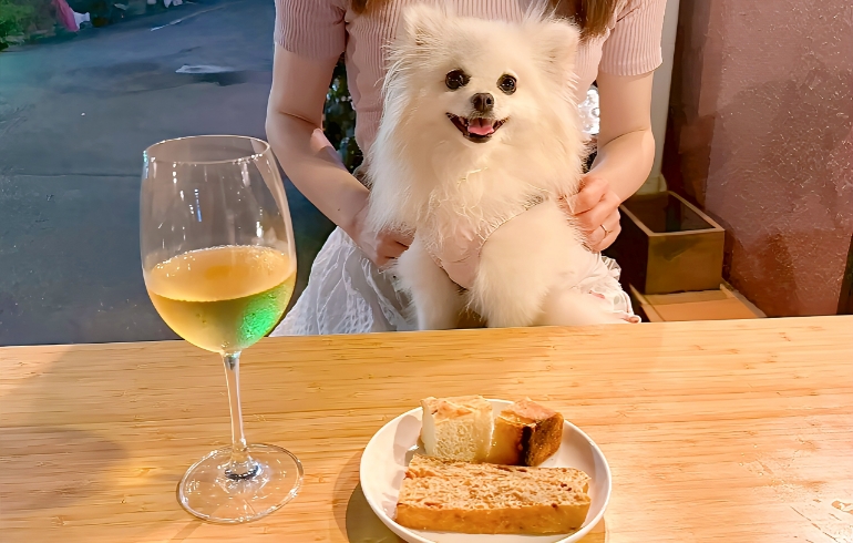 窯焼きパンとゆめちゃん