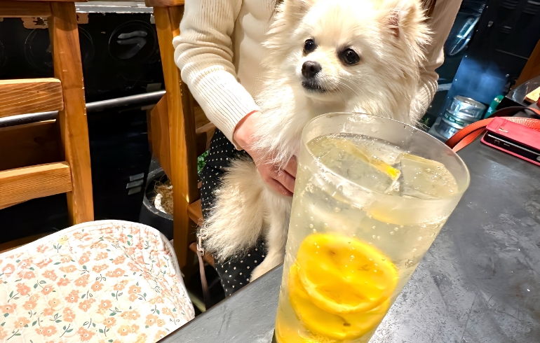 レモンサワー