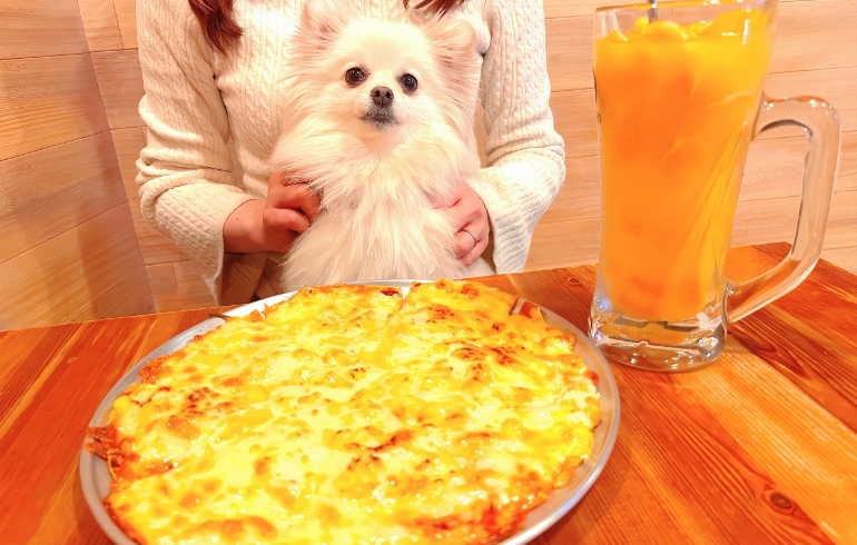 チーズが満ち溢れる程の反則ピザ2
