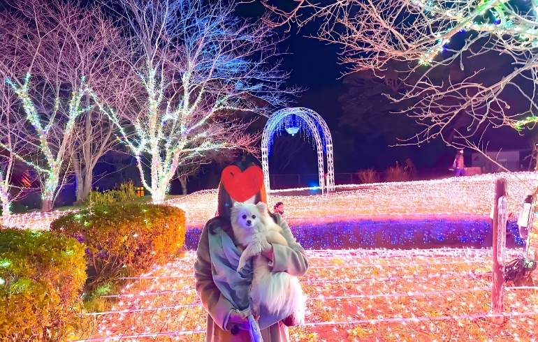 画像 1