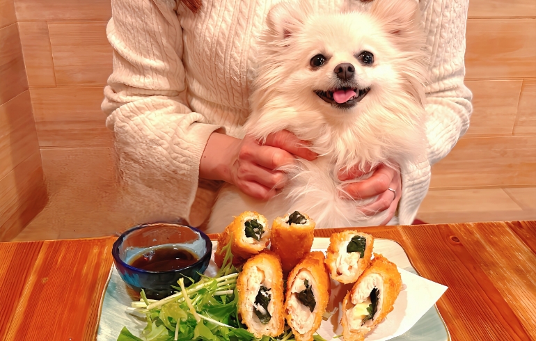チキンロールカツとゆめちゃん