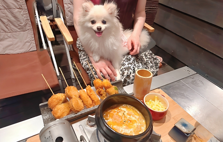 串揚げカレーフォンデュとゆめちゃん